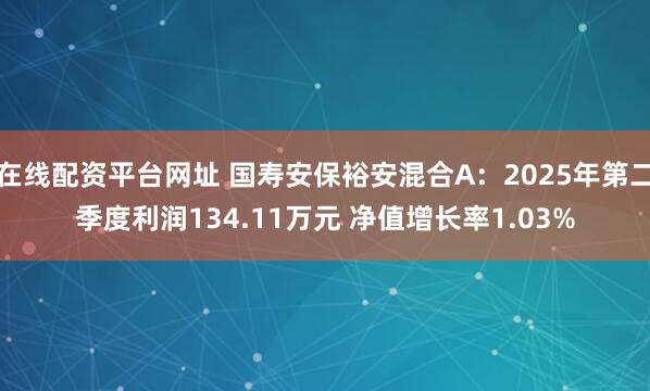 在线配资平台网址 国寿安保裕安混合A：2025年第二季度利润134.11万元 净值增长率1.03%