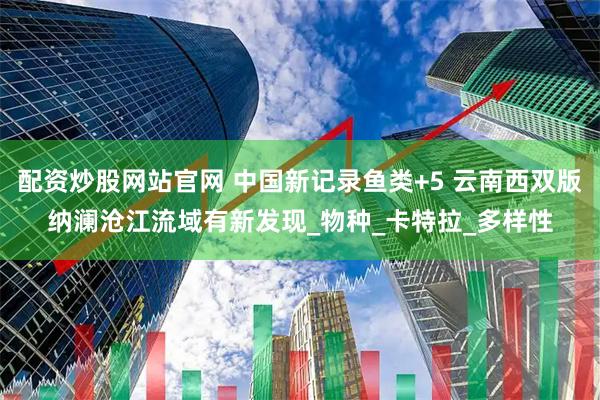 配资炒股网站官网 中国新记录鱼类+5 云南西双版纳澜沧江流域有新发现_物种_卡特拉_多样性
