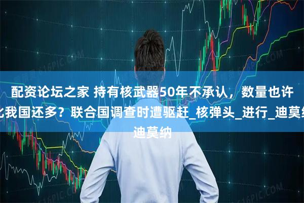 配资论坛之家 持有核武器50年不承认，数量也许比我国还多？联合国调查时遭驱赶_核弹头_进行_迪莫纳
