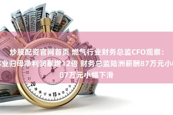 炒股配资官网首页 燃气行业财务总监CFO观察：升达林业归母净利润暴增12倍 财务总监陆洲薪酬87万元小幅下滑